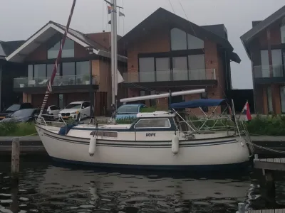 Degero 850 ms