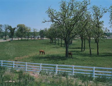 Kentucky: Bluegrass region