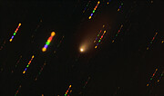 Image of the 2I/Borisov interstellar comet captured with the VLT