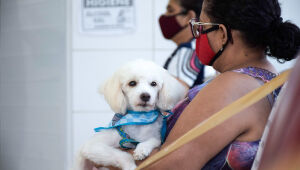 Compaz Eduardo Campos oferece atendimento e vacinação veterinários gratuitos nesta quinta-feira (13).