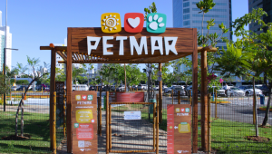 Pet Folia: shopping de Boa Viagem promove evento carnavalesco para tutores e cães.