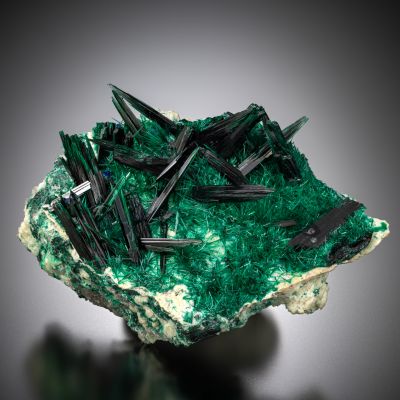 Wayne Thompson Miniature Collection