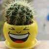 surest