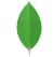mongodb