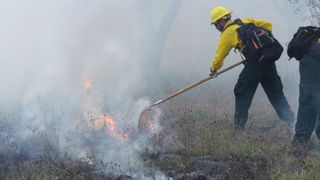 A firefighter works near a fire in Everglades National Park