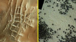 A splitscreen showing spiders on mars