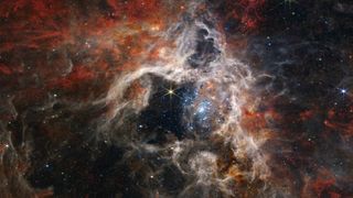 The Tarantula Nebula