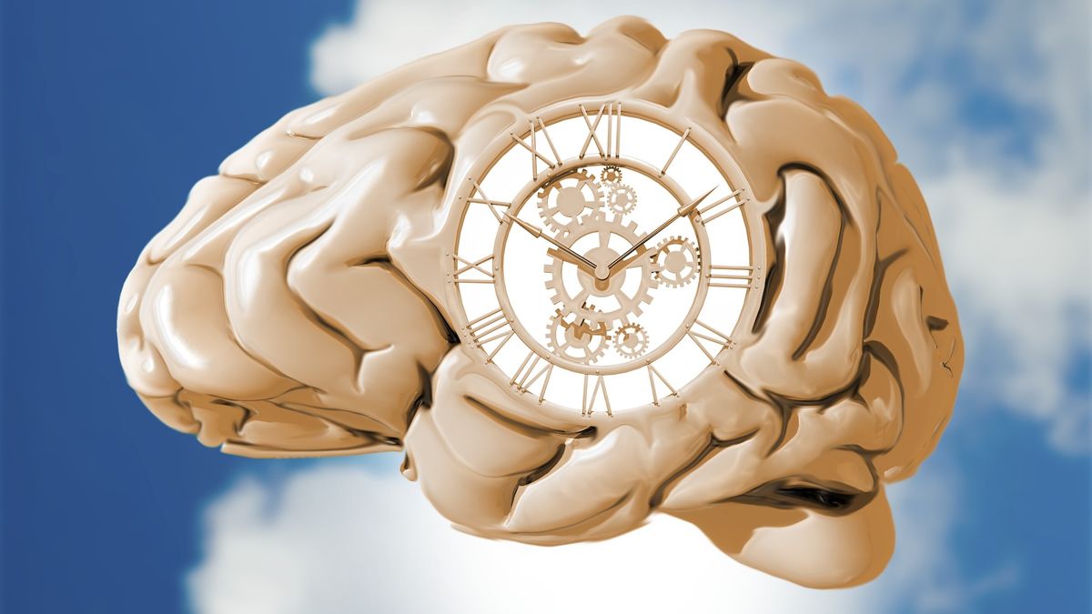 An illustration of a brain with a clock inside