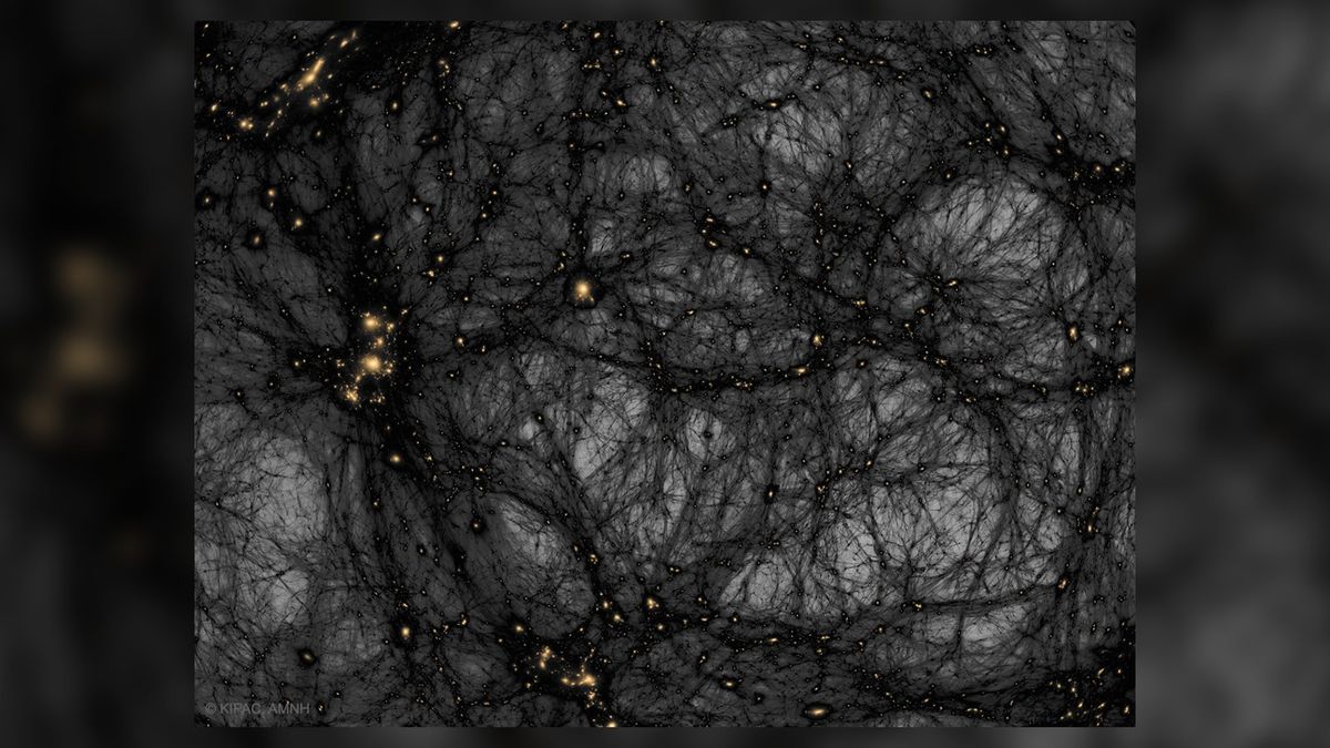 Dark Matter in a simulated universe_Illustration Credit &amp; Copyright Tom Abel &amp; Ralf Kaehler (KIPAC, SLAC), AMNH