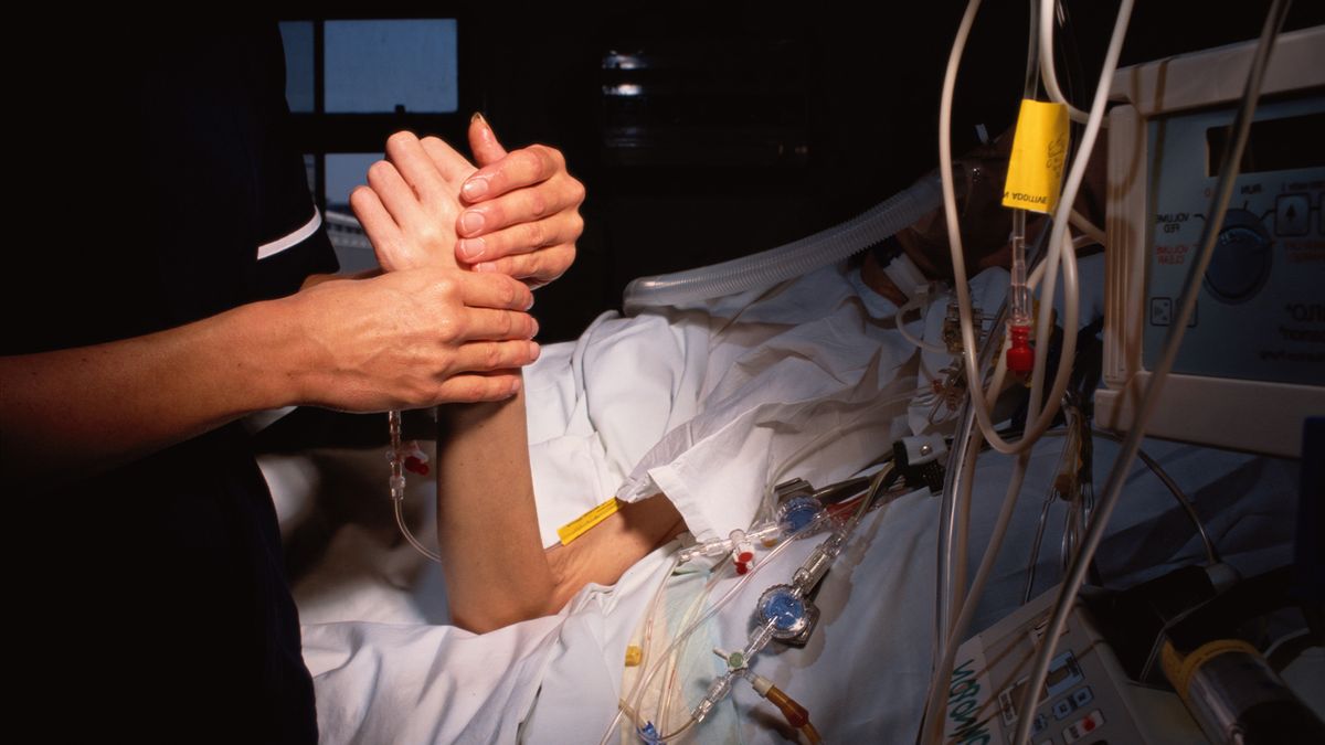 Nurse checks patient&#039;s pulse.