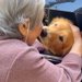 入院していたおばあちゃんが退院→大型犬と迎えにいった結果…思わず泣きそうになる『感動の再会』が6万再生「愛おしい姿」「嬉しさが伝わる」