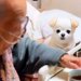 『95歳のおじいちゃん』の介護に行ったら、連れていった犬が…涙が出るほど尊い『優しい光景』が116万再生「健気すぎ…」「絆を感じる」