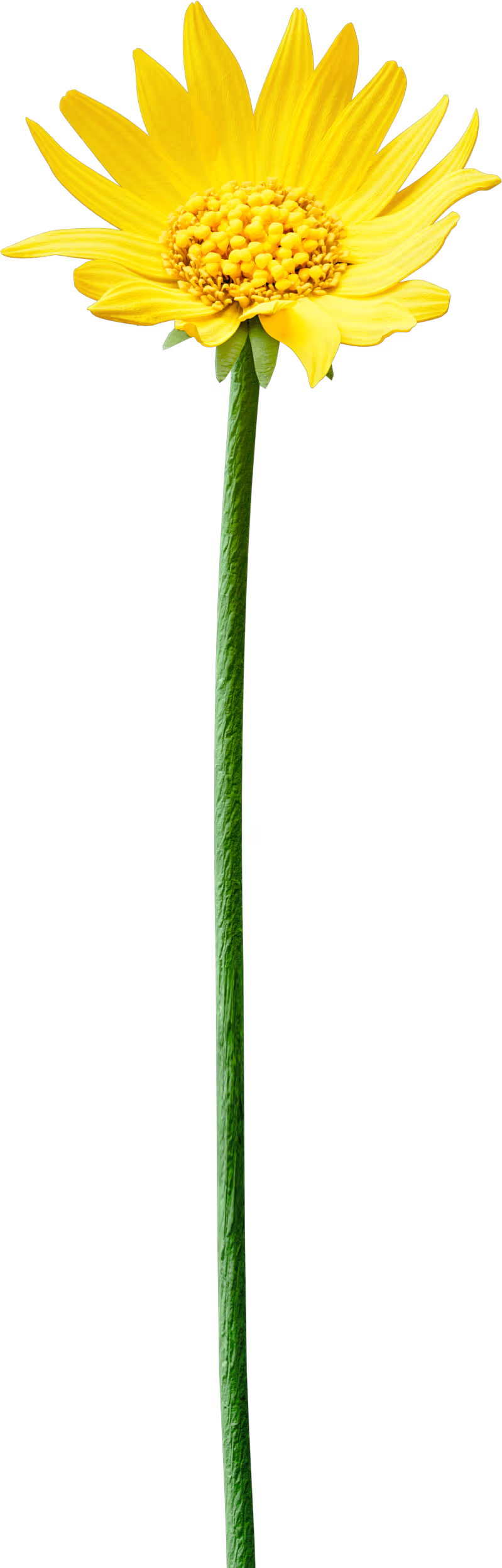 visual of a craft made paper golden aster flower