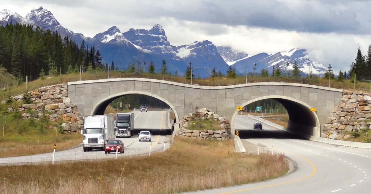 Wildlife overpasses allow animals and vehicles to safely coexist on highways, demonstrated by this two-lane underpass built into a mountainous landscape with snow-capped peaks visible in the distance.