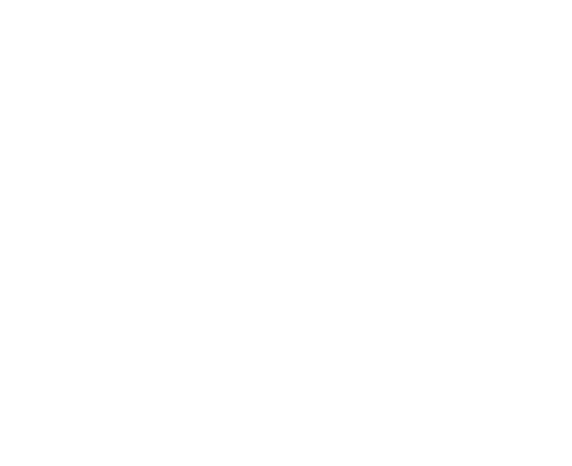 financieel dagblad