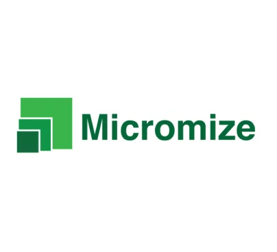 Micromize