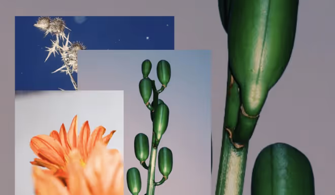 VSCO Spaces