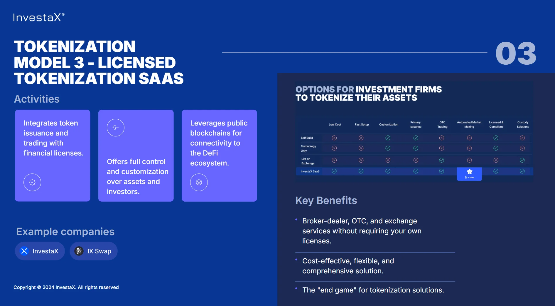 Tokenization model 3 - Licensed tokenization platform