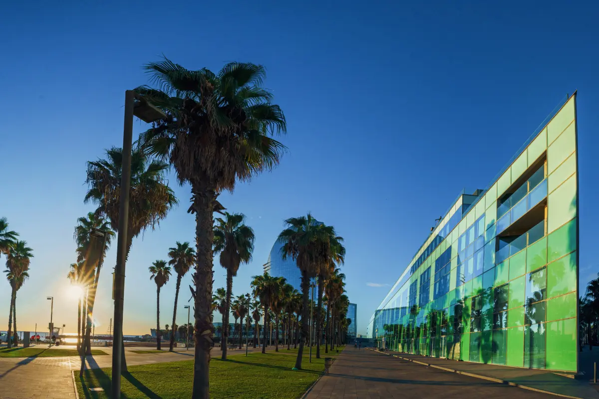 Image of a modern looking building and palms in Barcelona.