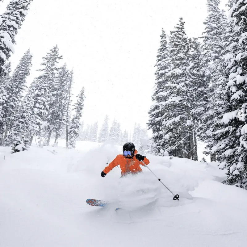 A skier wearing an orange jacket and black helmet is skiing through deep, powdery snow on a snowy mountain. Tall, snow-covered pine trees surround the skier, and snow is falling from the sky.