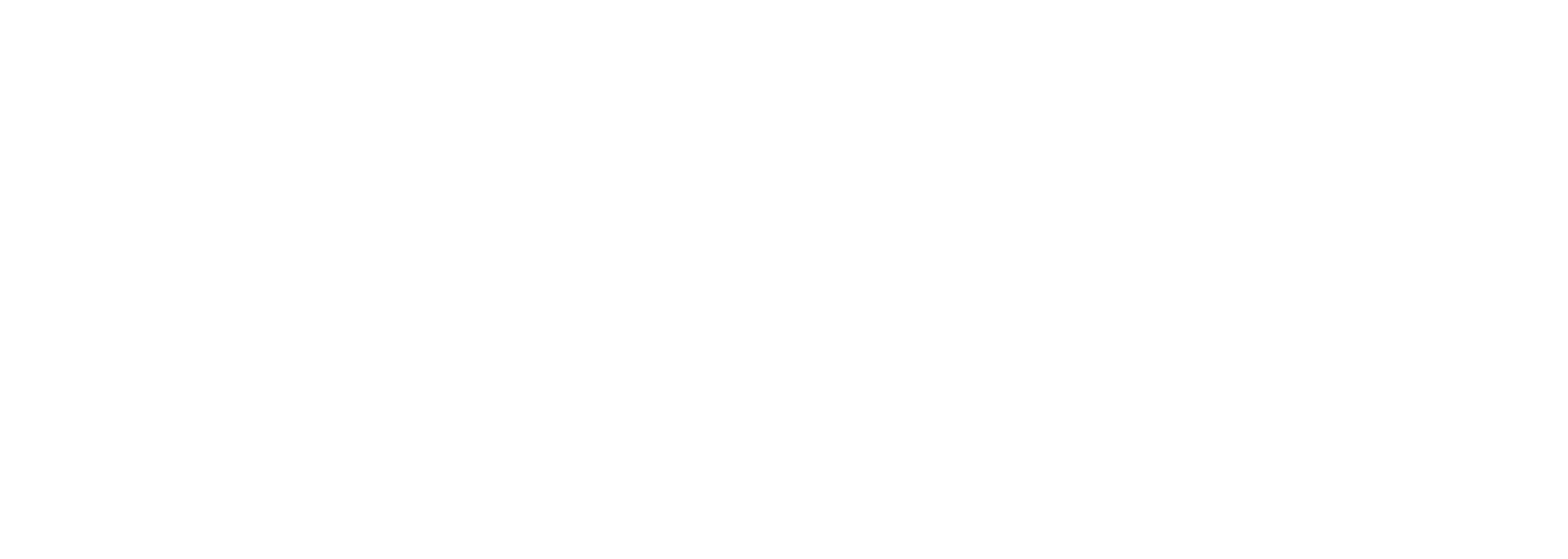 Palmetto