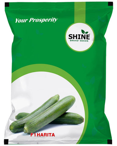 SHINE SPONGE GOURD HARITA F1 SEEDS Image