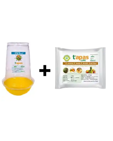 TAPAS FRUIT FLY TRAP & LURE- IPM COMBO Image