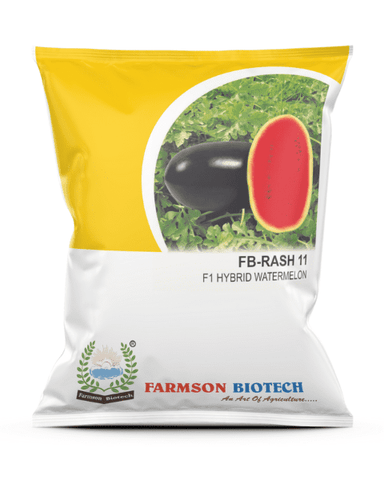 FARMSON WATERMELON F1 FB RASH11 (RED, OVAL) SEEDS Image