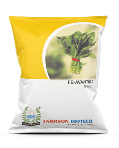 FARMSON FB-AVANTIKA SPINACH SEEDS Image