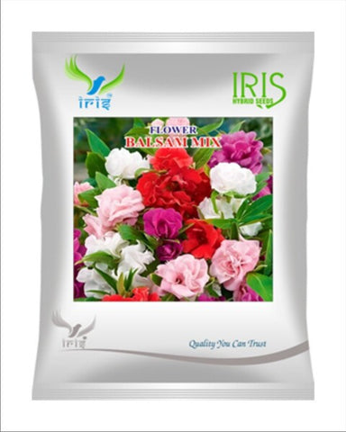 Iris Imported OP Balsam Mix Image