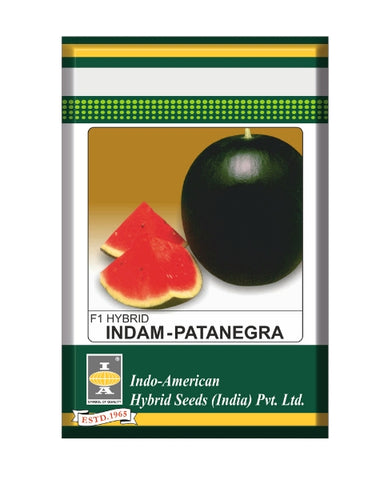 Indam Patanegra Watermelon Seeds Image