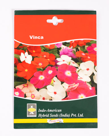 IAHS VINCA PACIFICA XP MIX Image