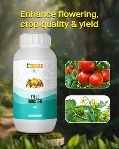 TAPAS TEJ YIELD BOOSTER Image