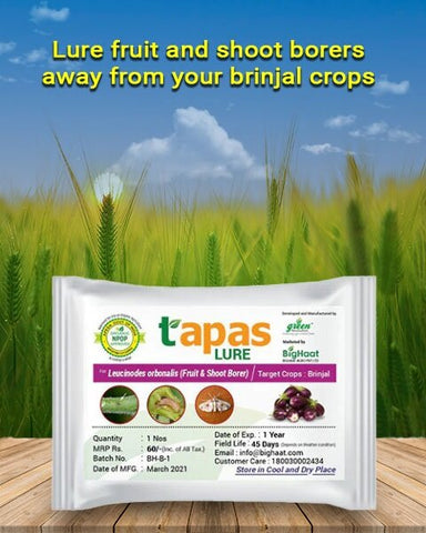 TAPAS BRINJAL FRUIT & SHOOT BORER LURE Image