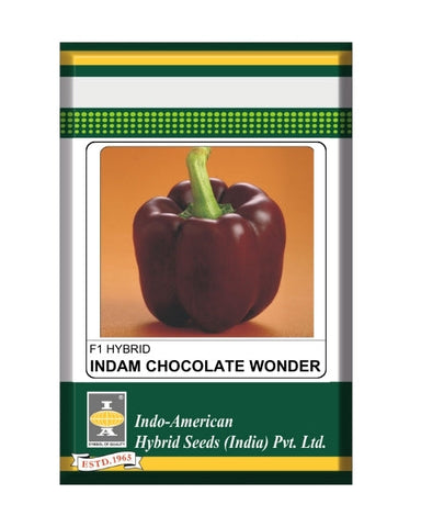 Indam Chocolate Wonder Capsicum Seeds Image