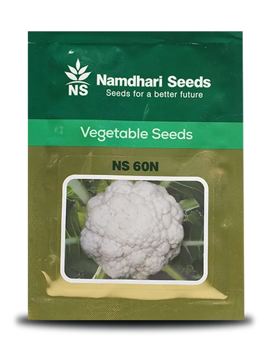 NS 60N F1 Hybrid Cauliflower Seeds Image