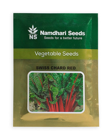 SWISS CHARD RED NS 10552 KGP Image