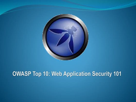 Web Application Security 101