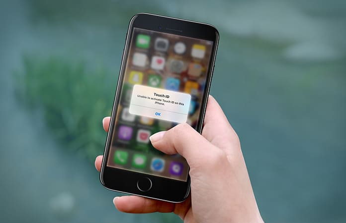 unable to activate touch id