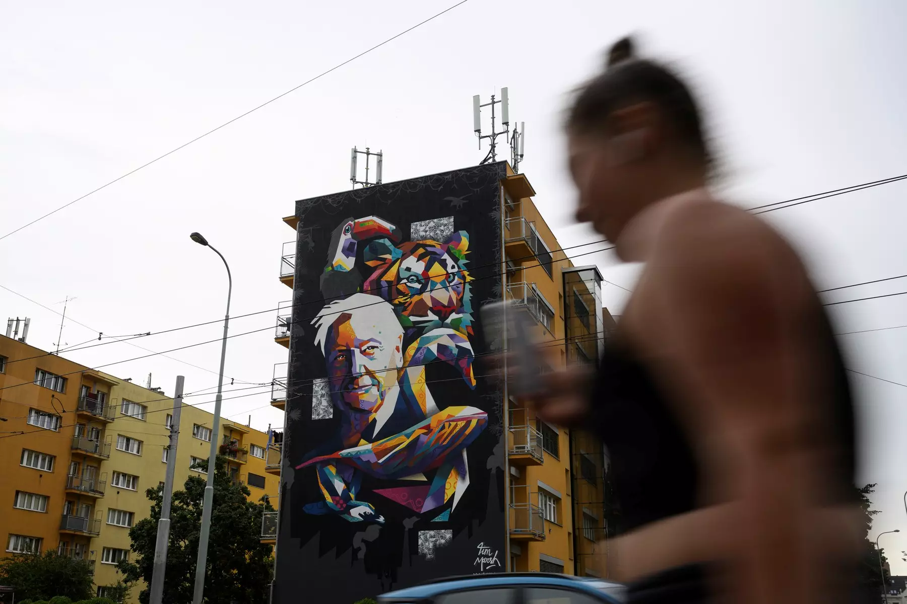 Discover Czech Murals and Street Art