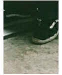VANS(バンズ)の「シューズ(スニーカー)」