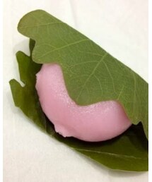 THE 柏餅🍡 | その他