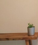 FIKA(フィカ)の「トップス(シャツ/ブラウス)」