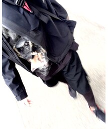 GIVENCHY | Tシャツ/カットソー