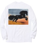 Supreme (シュプリーム)の「トップス(Tシャツ/カットソー)」