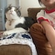 えかのアイコン