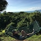 ayanoのアイコン