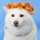 yuuのアイコン