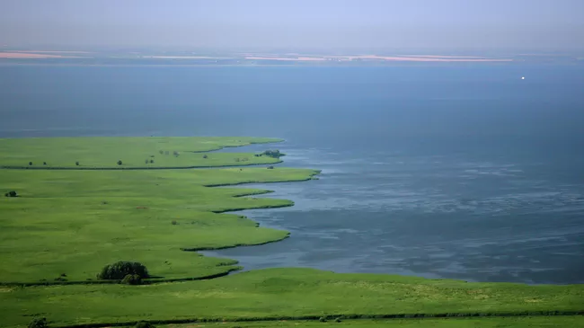 Берег Азовского моря