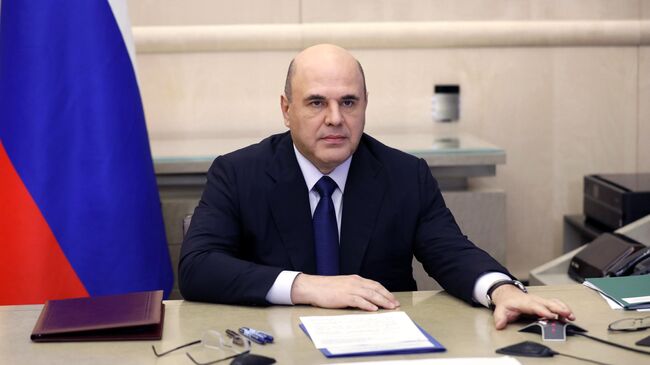 Председатель правительства РФ Михаил Мишустин проводит заседание президиума Координационного совета при правительстве РФ по борьбе с распространением новой коронавирусной инфекции 